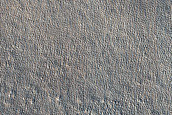 Impact Monitoring in Arcadia Planitia