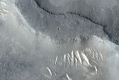 Curved Ridge in Arena Colles