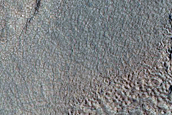 Pits Forming Lines in Protonilus Mensae