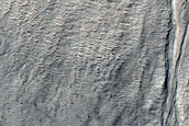 Gully Monitoring