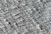 Candidate Recent Impact Site