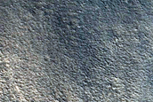 Impact Monitoring Site on Plains Northwest of Galaxias Colles