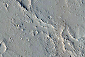 Monitoring New Impact Site 