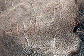 Gully Frost Monitoring