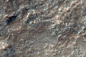 Albedo Monitoring in Solis Planum