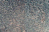 Terrain Sample