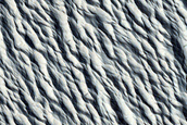 Monitoring Site in Northern Amazonis Planitia