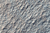 Hellas Planitia