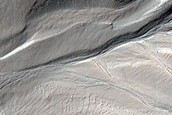 Gully Monitoring