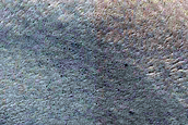 Terrain Sample