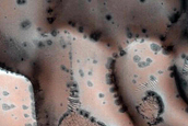 Dune Monitoring in Crater