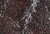 Terrain Sample