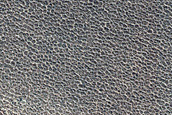 Terrain Sample