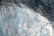 Gully Monitoring