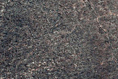 Terrain Sample
