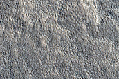 Northern Plains