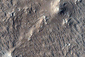 Wrinkle Ridge