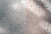 Dune Monitoring in Crater