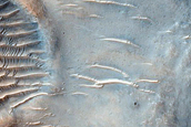 Group of Channels Northeast of Hellas Planitia