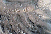Gully Monitoring