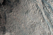 Gully Monitoring