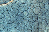 Utopia Planitia Scalloped Terrain