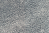 Terrain Sample