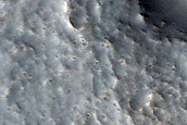 Tempe Terra