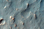 Landslides in Noachis Terra