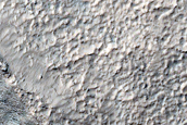 Possible Olivine-Rich Materials on Terra Sirenum Crater Floor