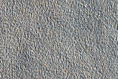 Northern Plains Sample