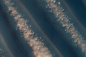 USGS Dune Database Number 0380-426 Monitoring