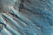 Gully Monitoring