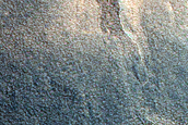 Gully Monitoring
