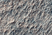Possible Pyroxene-Bearing Materials on Terra Sirenum Crater Floor