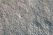 Crater in Amazonis Planitia