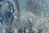 Cones in Northern Mid-Latitudes