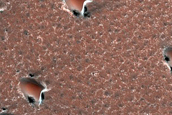 Northern Terrain