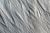 Gully Monitoring