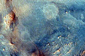 Nili Fossae Phyllosilicates and Mafic Minerals