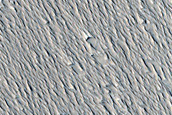 Context Camera Stereo Image