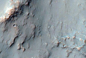 Hydrated Materials in Columbus Crater