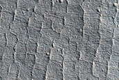 Utopia Planitia Craters
