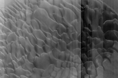 Dune Monitoring in Crater
