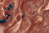 Olympia Undae Dune-Ice Monitoring