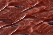 Dune-Ice Mobility in Olympia Undae