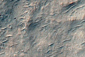 Chloride-Rich Terrain