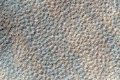 Hellas Planitia