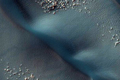 Transverse and Barchan Dune Field