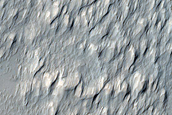 Daedalia Planum